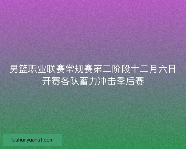 男篮职业联赛常规赛第二阶段十二月六日开赛各队蓄力冲击季后赛